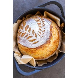 Heritage Sour OREGON SOURDOUGH DEHYDRATED STARTER 300+ YRS OLD ACTIVE - 15 Gram Bag