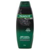 Palmolive Men 2 in 1 Hair Shampoo and Conditioner, 350mL,