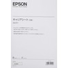 エプソン EPSON DS-30用キャリアシート DSCST1 3枚セット
