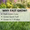 Jonathan Green Fast Grow Grass Seed Mixture, 3lb