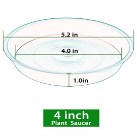 Bleuhome 6 Pack Plant Saucer 4 5 inch (4 inch Base), Heavy Sturdy Plant Drainage Tray for Indoors (5", Creamy White)