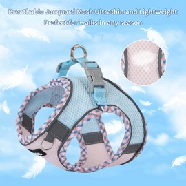 AIITLE Dog Harness and Leash Set, No Pull Entry Puppy Harness with Super Breathable Mesh, Adjustable Reflective Puppy Utensils for Small Dogs, Cats, Blue Pink XS