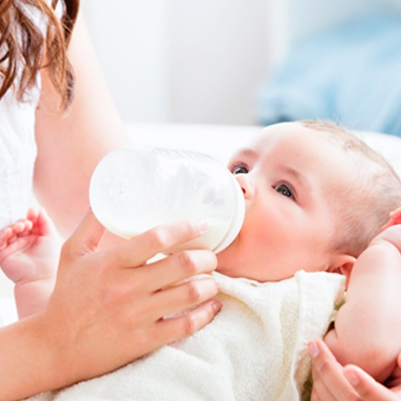 Chicco 69189400000 Bottle-Brush 2-in-1 0 Months and Up