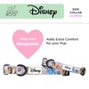 Sassy Woof Dog Collar Disney's Jasmine - M, Adjustable, Durable,