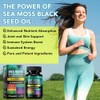 Sea Moss Black Seed Oil Ashwagandha Ginger, Sea Moss Capsule
