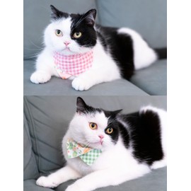 Gyapet Cat Collar with Bandana Detachable Tie Scarf Two-Sided Floral Flower Plaid Bell Safety 7-11in Green