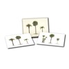 Earth Sky + Water - Palm Assortment Notecard Set -