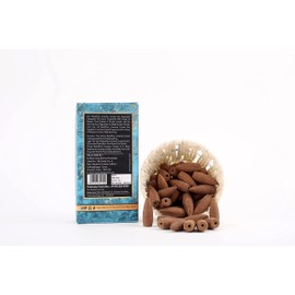 Blue Sage - Conos de incienso aromáticos, fuente de humo aromático, 50 unidades