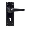 From the Anvil Black Oak Lever Lock Set