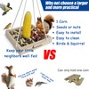 Platform Squirrel & Bird Feeders, Quality Cedar Made Wood Tray