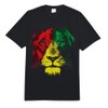 Reggae Lion Face - Lion Jamaica Flag Reggaeton Culture Comfort