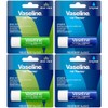 Vaseline Paquete de 4 variedades de terapia de labios, bálsamo