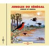 Jungles of Senegal