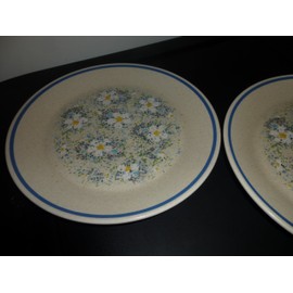 Lenox Dewdrops Temperware Bread & Butter Plate