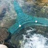 Fiskenet Fishing Net Small Mesh Trap Trawl Fishing Cage Floats