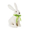 Two's Company Hand Crafted Easter Bunny, 9.25-inch Width x 6.5-inch