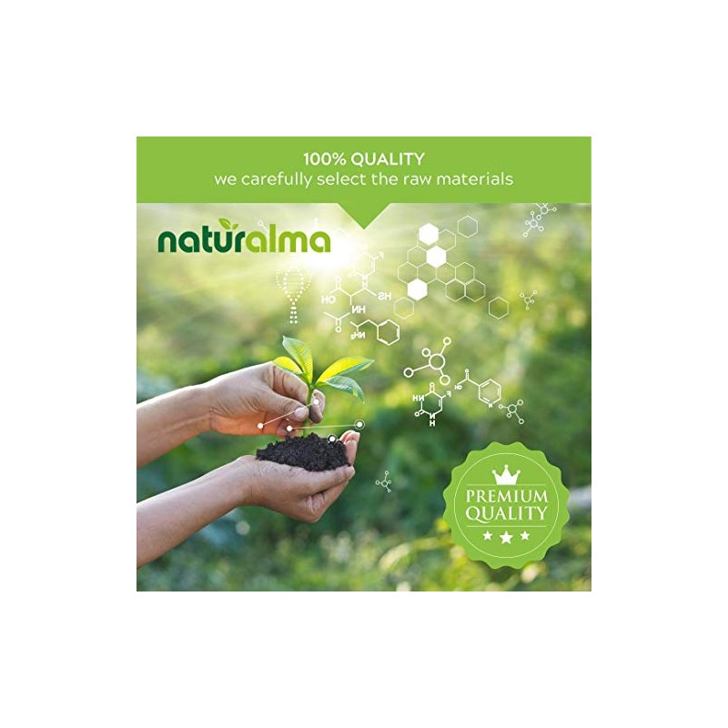 Bacopa or Brahmi (Bacopa monnieri) herb Alcohol-Free Mother Tincture Naturalma