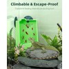 Pawfly Bearded Dragon Feeder - Escape-Proof Corner Reptile Food Box,