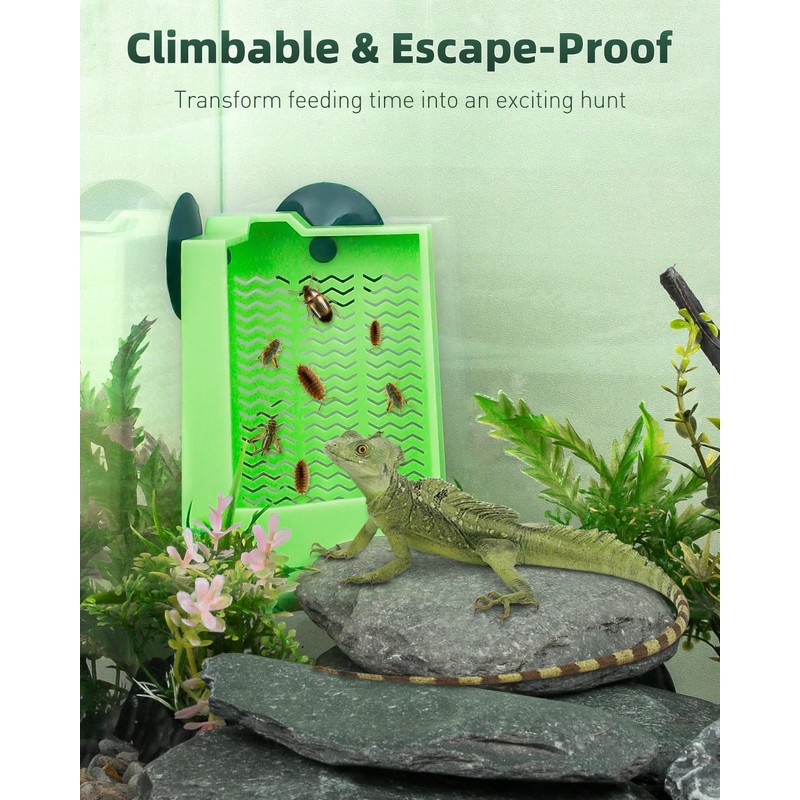 Pawfly Bearded Dragon Feeder - Escape-Proof Corner Reptile Food Box,