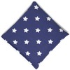 Rapeseed Cushion 12 x 12 cm Stars Blue - Heat