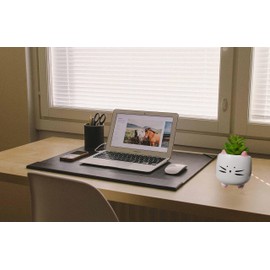 Cuteforyou 3.14 Inch Cute Cartoon Animal Cat Shaped Ceramic Indoor Succulent Cactus Plant Pots - Plant Not Included