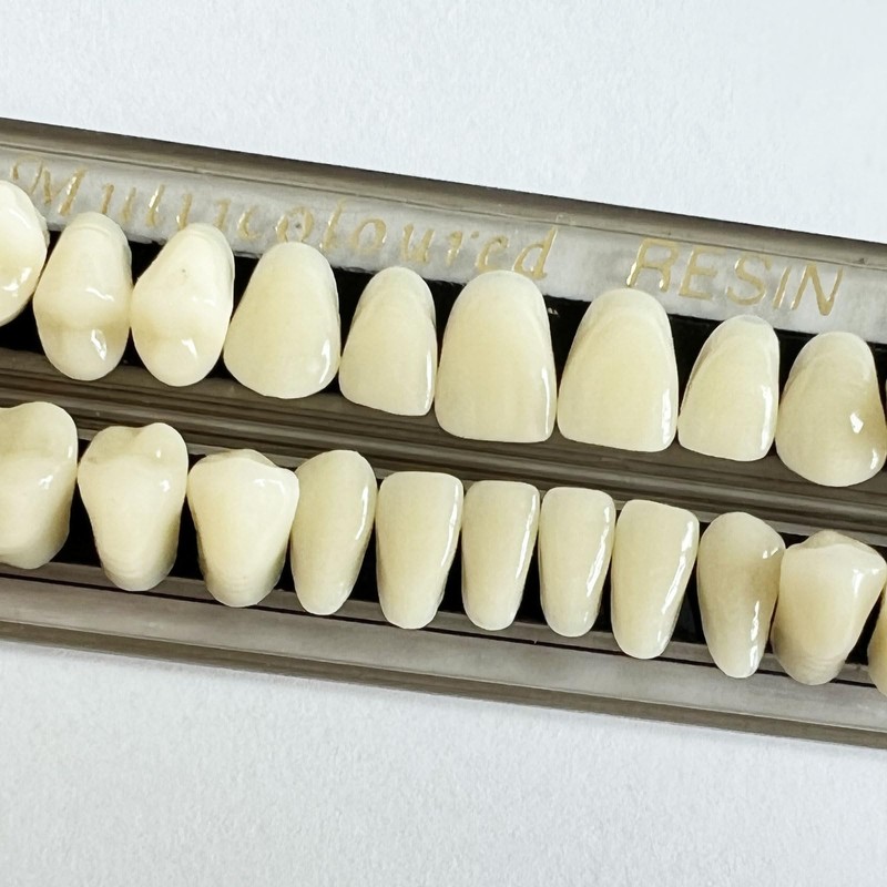 56 Pieces False Teeth Acrylic Resin Denture Tooth, Denture Tooth