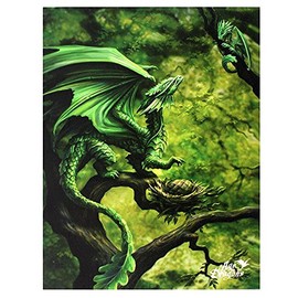Anne Stokes Canvas 'Forest Dragon' Age of Dragons Range Fantasy Wall Art Plaque