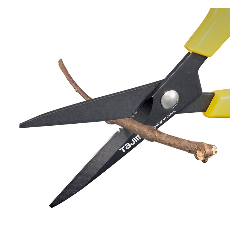 Tajima CLP210 Clipper Scissors with Blades, 210 mm