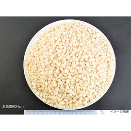 Aszac Foods Freeze Dried Apples, 10.6 oz (300 g), Confectionery, 0.4 inches (10 mm), Cut, Commercial Use, Topping