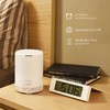 ASAKUKI 300ML Essential Oil Diffuser, Quiet 5-in-1 Premium Humidifier, Home