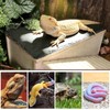 Gxsdj Large Bearded Dragon Basking Platform,Wooden Reptile Hide Cave with