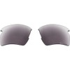 Oakley unisex adult Aoo9295ls Flak 2.0 Replacement Sunglass Lenses, Prizm