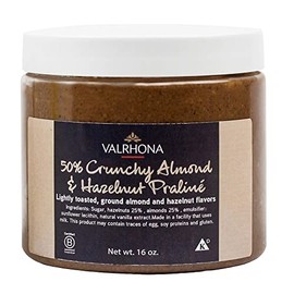 Valrhona Praliné Crunchy 50-Percent-Almond-&-Hazelnut Paste for Ice Cream and Sorbet, 1 Pound