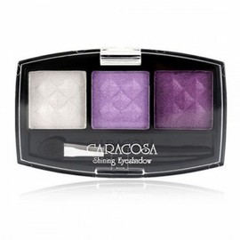 Soft, Powder-Free Point Color Eyeshadow Kit No. 303