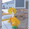 Fox Valley Traders Raincoat Goose Outfit by Gaggleville®, Fits Large