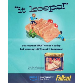 Fallout 11" x 14.5" Collector's Poster ( T2 )