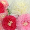Paper Flowers Decorations, Kaluofan 16 PCS Paper Pom Poms Decorations