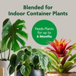 Miracle-Gro Indoor Potting Mix, Blended for a Variety of Houseplants, Feeds for up to 6 Months, 16 qt., 2-Pack