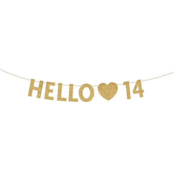 Gold Hello 14 Birthday Banner, Gold Glitter Happy 14th Birthday Party Decorations, Supplies