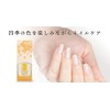 Four Seasons Colored Nail Kasumi Stand
