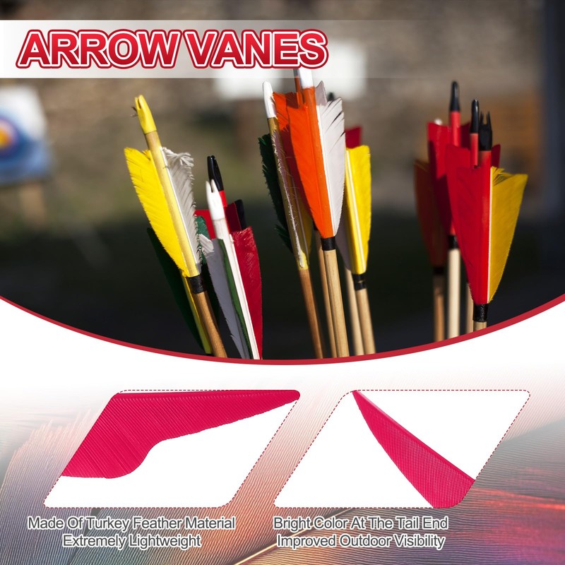 PATIKIL 4 Inch Arrow Vanes, 20 Pack Turkey Feather Fletching