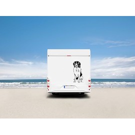 amberdog Landseer Car Sticker, Window Film, Item No. AT0242 Sticker for Car, Motorhome, Caravan, Car Sticker (60 cm, Black)