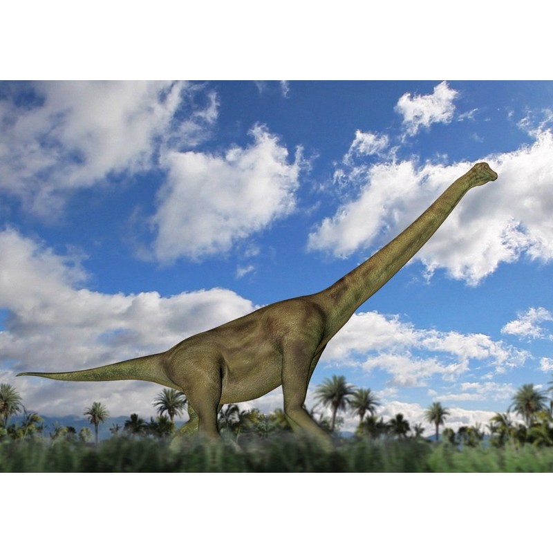 Edition Colibri Brachiosour Dinosaur Lenticular Postcard with Wobble Effect /