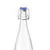10 Strawberry Street Indro Swing Top Carafe, Large, Blue Lid,