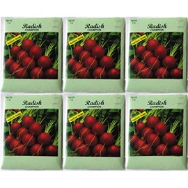 (6 Pack) 1 gram/Package Champion Radish Heirloom Variety Seeds