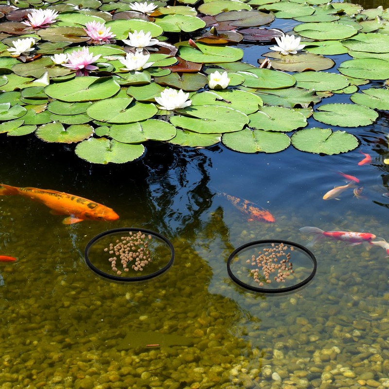 Lnngub 5 Pcs Fish Feeding Ring,Aquarium Floating Plant Rings Aquarium