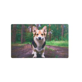 Produtos Profissionais de Elite 29.5"x 17.75" Vibrant Printed Decorative Doormat Non-Slip Door Mat Non-Woven Fabric with Skid-Resistant Rubber Backing Indoor and Outdoor Doormat (Cute Corgi Dog)