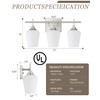 Osimir 3 Light Bathroom Light Fixtures Over Mirror, 21 Inch