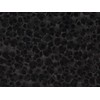 LTWHOME Compatible Foam Filters and Carbon Filters Set Suitable for
