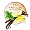 Vainilla Elixir De Los Dioses Pure Natural Vanilla Extract Chef